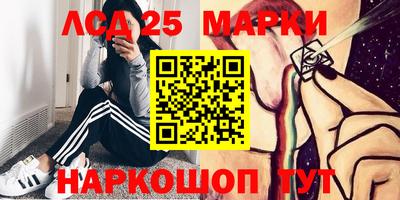 гидропоника Будённовск