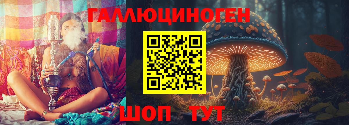 Галлюциногенные грибы Psilocybe  Вход с VPN  Югорск 